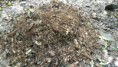 /album/compostagem/a20150421-104006-jpg2/